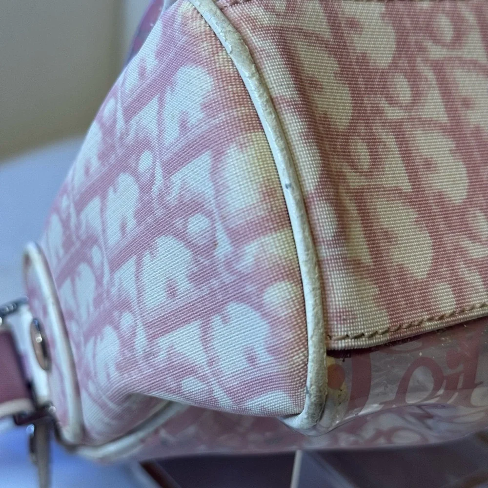 Dior Authentic Pink and Cream Trotter Transparent Crossbody bag w/pouch. RARE - Picture 8 of 16